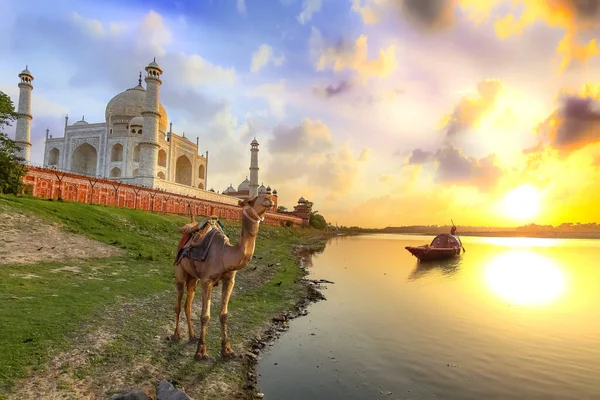 Taj Mahal Agra Storico Mausoleo Marmo Bianco Tramonto Con Vista — Foto Stock