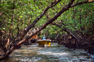 Baratang Adası, Andaman, Hindistan, 25 Mart 2018: Turistler Hindistan 'ın Baratang adasındaki yoğun mangrov bataklığında sürat teknesi yolculuğunun keyfini çıkarın.