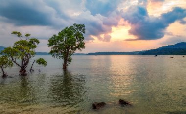 Andaman gün batımı, karamsar gökyüzü Chidiya Tapu plajı Port Blair, Hindistan.