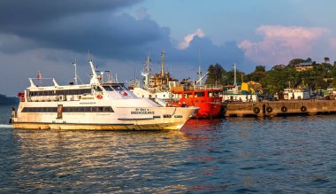Andaman 'daki Port Blair limanında diğer nakliye gemileriyle birlikte yolcu gemisi..