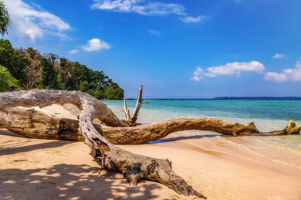 Landschaftlich Reizvoller Tropischer Strand Auf Der Insel Jolly Booy Bei — Stockfoto