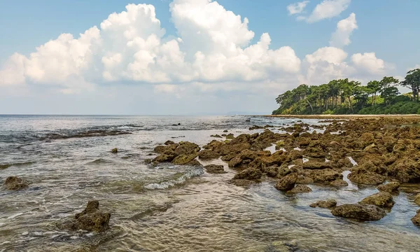 Neil Island Felsiger Meeresstrand Andaman Mit Korallen Und Natürlichen Felsformationen — Stockfoto