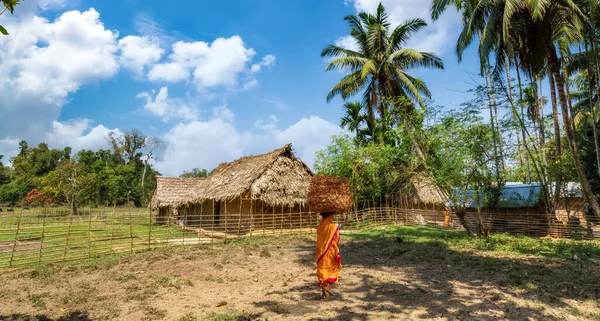 Scenic rural India village scene with tribal woman carrying dry leaves to the village at Baratang island Andaman
