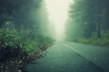 Sütlü sis ve gölge ile karanlık ormanın sokakta