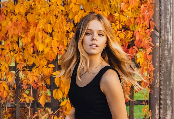 Genç sonbahar kadın sarı yapraklar arka plan ile. Güzel saçlı genç kız fotoğrafı açık moda sonbahar yaprakları çevrili.