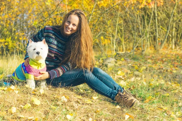 Wanita musim gugur dengan anjing berbulu putih potret berwarna-warni luar ruangan gadis muda tersenyum alami dengan senyum alami dengan hangat sweater dan celana jeans duduk di taman — Stok Foto