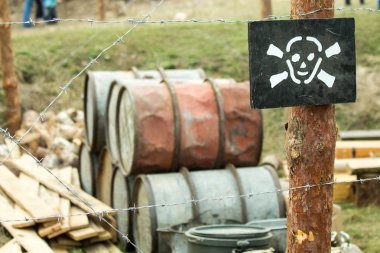 X uluslararası Festival vermek Kiev, 03.11.13, Kiev, Ukrayna