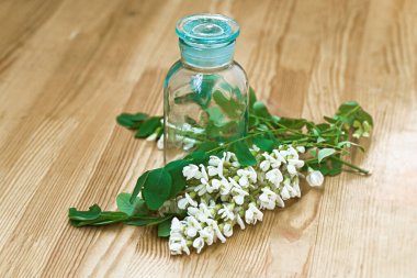 İlaç şişesinin yanında bir demet beyaz çiçek akasyası. Mevsimlik şifalı ot koleksiyonu. Kara çekirge dalları, Robinia psödoacia, sahte akasya. İlaç bitkilerinin ilaçları..