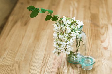 İlaç şişesinin yanında bir demet beyaz çiçek akasyası. Mevsimlik şifalı ot koleksiyonu. Kara çekirge dalları, Robinia psödoacia, sahte akasya. İlaç bitkilerinin ilaçları..