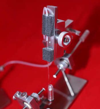 Beyaz arka planda kraliçe arıların yapay döllenmesi için bir araç. Safkan arılar yetiştiriyorlar. Tarım işi. Arıcılık ve kraliçe arı yetiştiriciliği. Grafting, Kraliçe arı tanıtımı