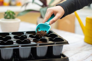 Oyuncak kürekle çocuğun eli tohum saksılarına toprak döküyordu. Bahçe için sebze yetiştiriyorum.