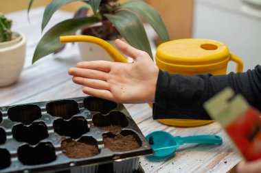 Tohumlu bebek eli. Saksılarda bir sürü tohum var ekolojik çiftlikte.