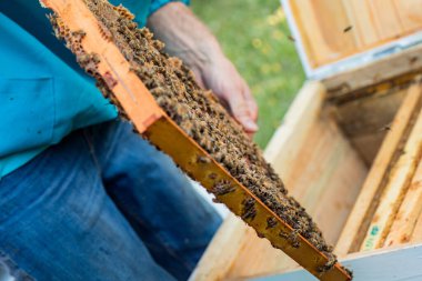 bee fffffffffffffffffffff flkVLVlkJV CWLNl; ankvkEVKevd