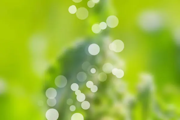 Φυσικό Πράσινο Φόντο Blured Λάμψη — Φωτογραφία Αρχείου
