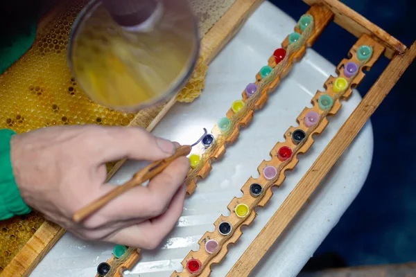 Kraliçe arı yetiştirmek için seçilmiş arı larvası. Çerçevedeki bal peteklerinden larva toplamak için bir araç. Balarısı Kraliçesi Grafting Larva 'dan DIY Queen Cups' a. Seçici odak.