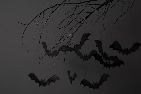 Halloween and a lot of bats — Stock Photo, Image