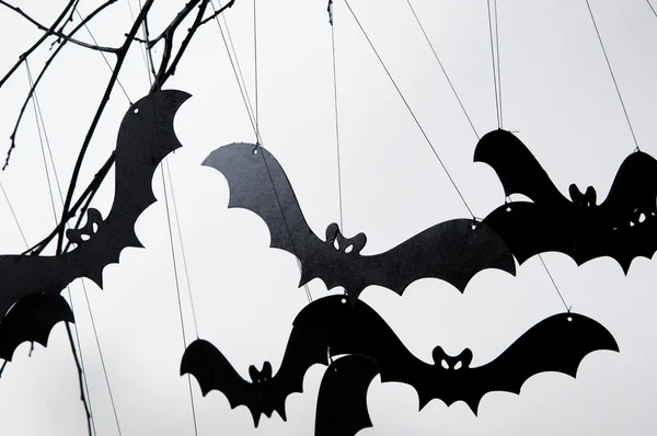 Halloween and a lot of bats — Stock Photo, Image