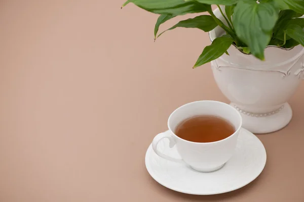 Tasse de thé dans une soucoupe et une fleur — Photo