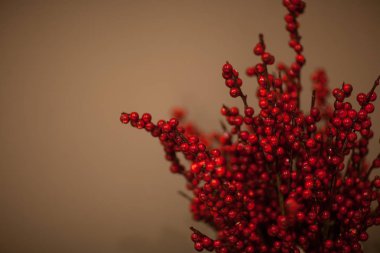 Kırmızı meyveler şube ile