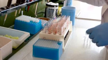 Kadın laborant kan örnekleri ile çalışma. Yakın çekim. Kamera sabit