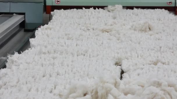 纺纱车间梳棉机 纺织厂的设备和技术 摄影机在动 — 图库视频影像