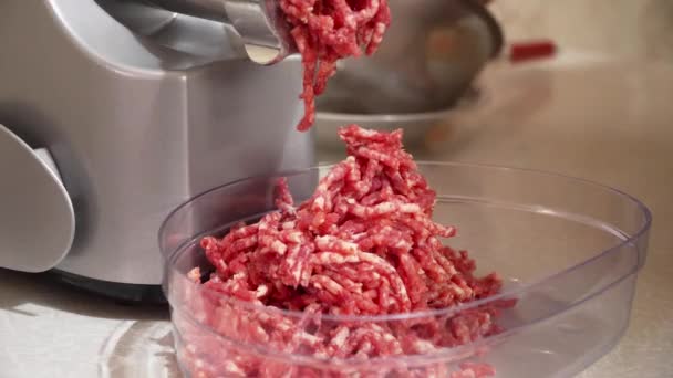 Preparation Minced Beef Electric Meat Grinder Raw Meat Mincer — Stock Video
