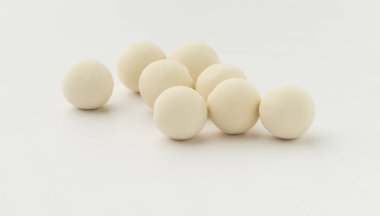 Kurt beyaz arkaplanda