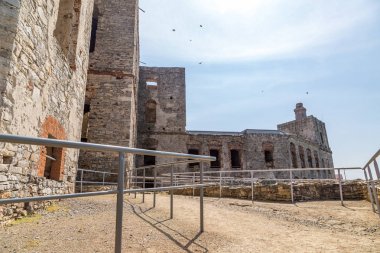 Çim çalılar arasında güzel gün batımı