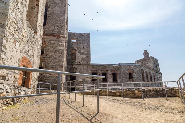 Çim çalılar arasında güzel gün batımı