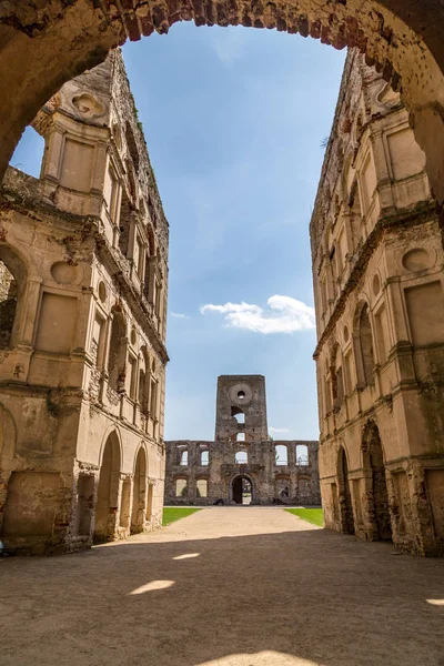 Çim çalılar arasında güzel gün batımı