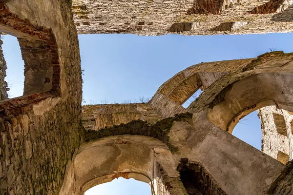 Çim çalılar arasında güzel gün batımı