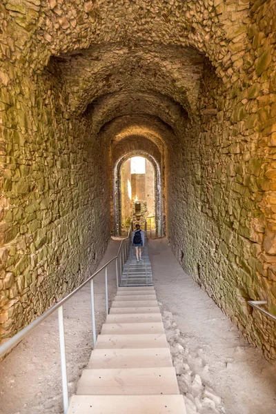Çim çalılar arasında güzel gün batımı