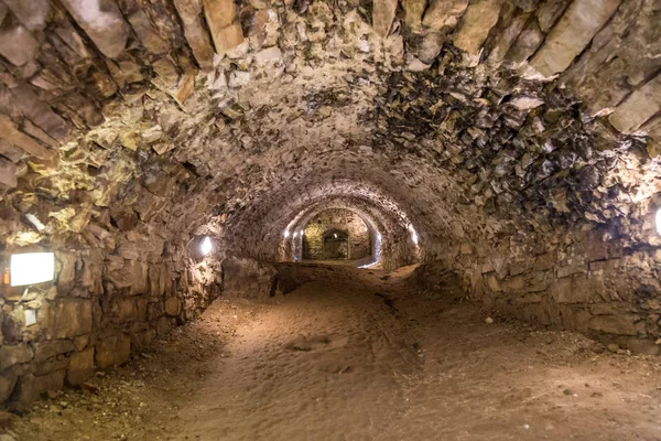 Çim çalılar arasında güzel gün batımı