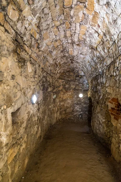 Çim çalılar arasında güzel gün batımı