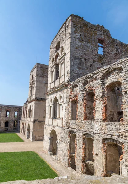 Çim çalılar arasında güzel gün batımı