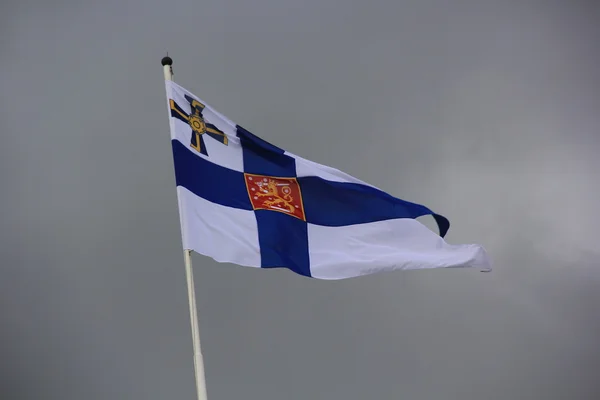 Beyaz ve mavi Finlandiya bayrağını rüzgarda sallayarak