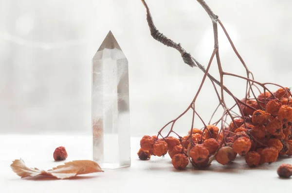 雪白的大晶体,纯透明的石英. 雪松宝石，背景为山莓、山灰 — 图库照片