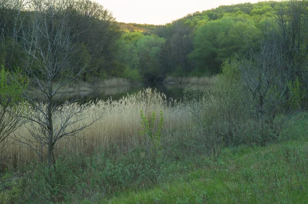 Malowniczy wiosenny krajobraz ze wzgórzami porośniętymi zielonym lasem i krętą rzeką u stóp ukrywającą się na zakręcie — Zdjęcie stockowe
