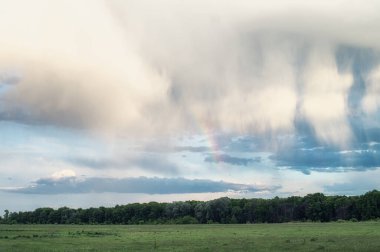 Ormanın üzerinde kabarık bulutlar ve gökkuşağı. Bahar ormanlık vadisinin manzarası ve güzel bulutlu gökyüzü