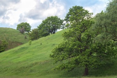 İlkbahar yeşili tepeler. Güzel gerçek hayat, doğal yaşam.