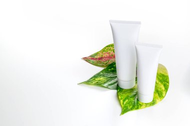 Kozmetik şişe kapları ile yeşil bitki yaprakları, boş etiket