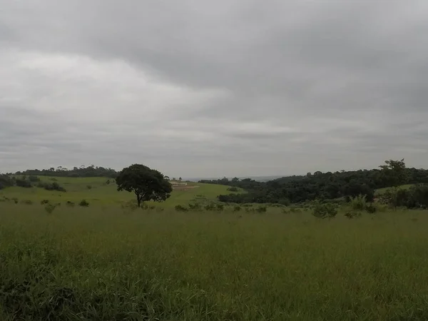 Foto Tirada Mairinque Inior Paulo Janeiro 2020 — стокове фото