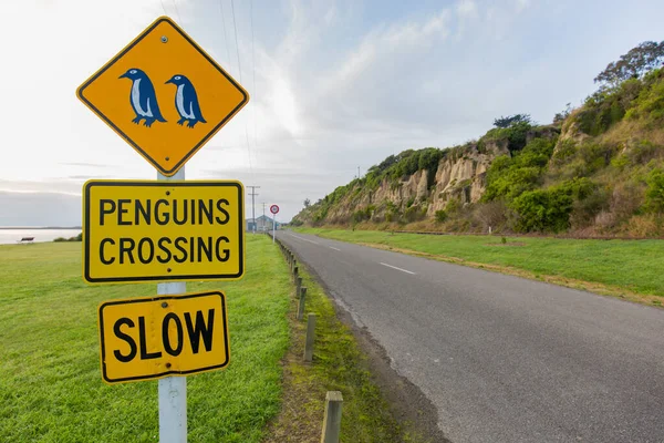 Pingwiny Przejście Znak Oamaru Nowej Zelandii — Zdjęcie stockowe