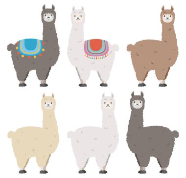 farklı lama vektör grafiği koleksiyonu