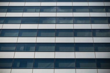 yeşil yapraklar arkaplan