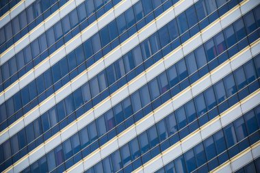 yeşil yapraklar arkaplan