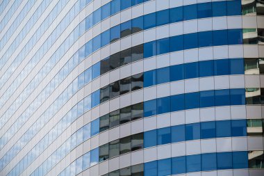 yeşil yapraklar arkaplan