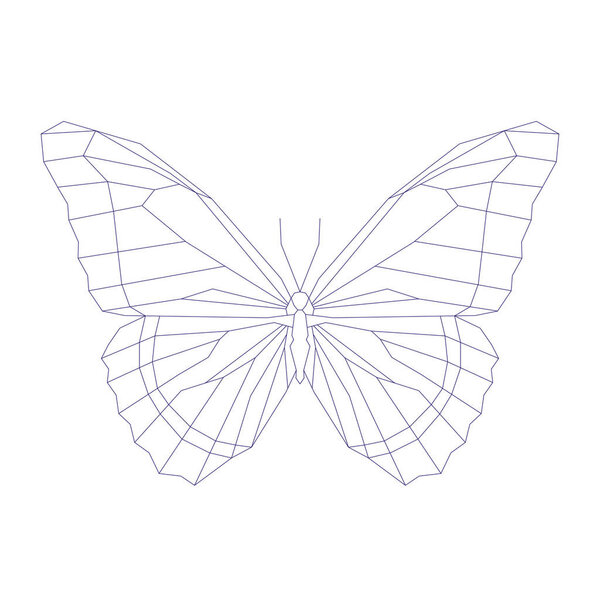 Геометрическая линейная бабочка
