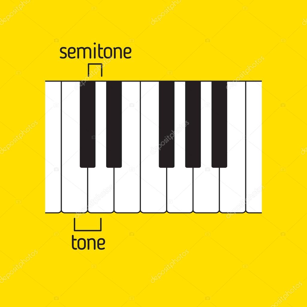 Piano keyboard. Tone and semitone. Music theory
