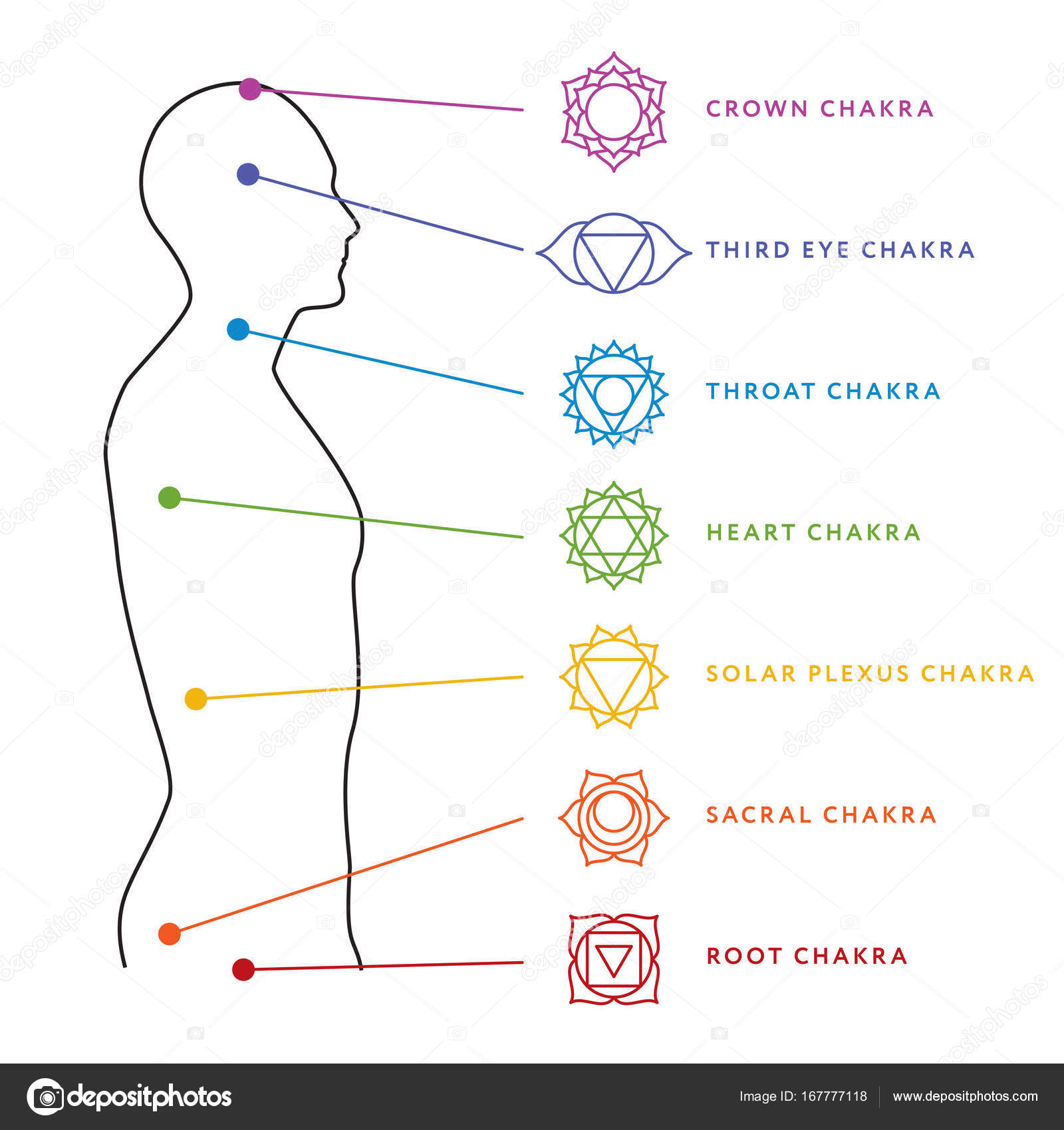 Body Energy Chart